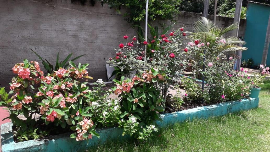 Pousada Tropicaliente Alter do Chão Luaran gambar